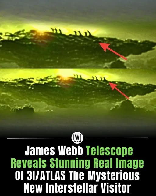 NASA Shocked! James Webb Detects CITY LIGHTS on a Distant Planet