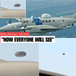 Leaked document shocks the world: UFO the size of a ball suddenly appears next to fighter jet, pilot gasps in disbelief, “It’s right here!”
