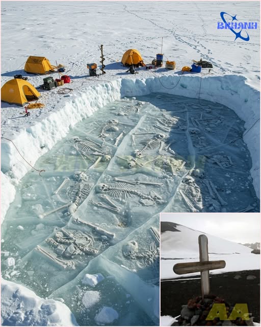 BREAKING NEWS: FROZEN GRAVEYARD UNCOVERED – ALIEN BURIAL SITE OR LOST CIVILIZATION? 130