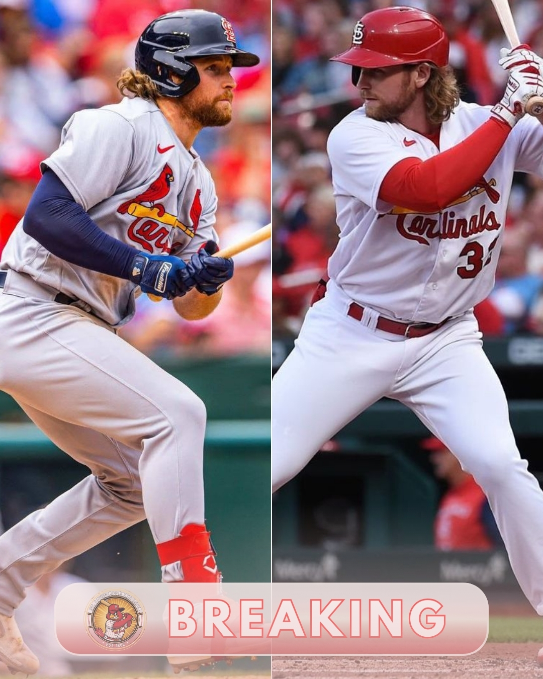 SHOCKING STANDOFF: Cardinals Slam Door on Brendan Donovan Talks – Rivals Just Got Told “Not Even Close” 1314