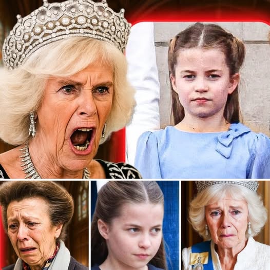 5 MINUTES AGO! Buckingham Palace descended into chaos as the white flag was raised, marking ultimate tragedy. Princess Anne, in tears, addressed the nation with a trembling voice: “We are heartbroken… Charlotte… 1385