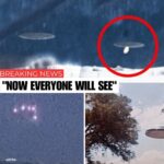 Mysterious UFO Encounter Captured on Camera: UFO Spotted in the Skies Over Georgia 153