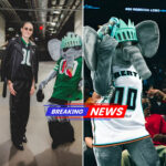 BREAKING NEWS: How do you dress an elephant? The New York Liberty turned mascot Ellie into the most stylish figure in sports 2331