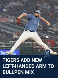Tigers Add Former Nationals Lefty in Quiet Roster Move