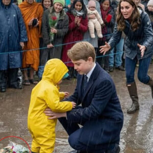 Wow, have you seen that adorable clip of Prince Louis?