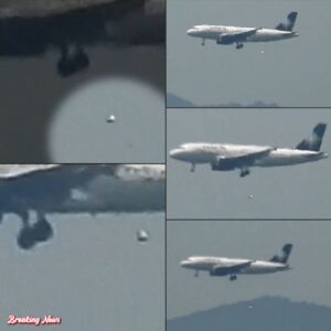 Speculative Analysis: The Silent Observer in Controlled Airspace