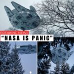 NASA Is Panic? The 2025 Forest Encounter and the Rising Evidence of an Interstellar Presence 1692