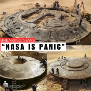 The Circular Threshold: A Speculative Analysis of an Artificial Gate Beneath the Earth